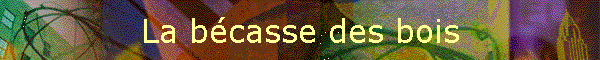 La bcasse des bois