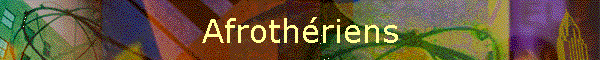 Afrothriens