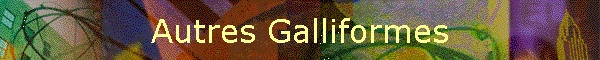 Autres Galliformes