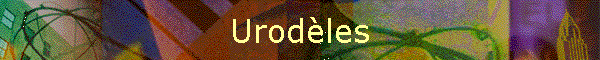 Urodles