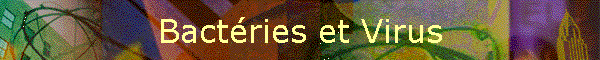Bactries et Virus