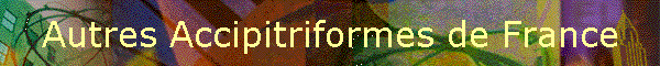 Autres Accipitriformes de France
