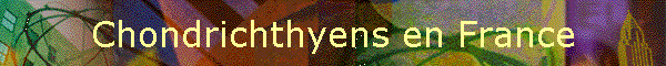Chondrichthyens en France