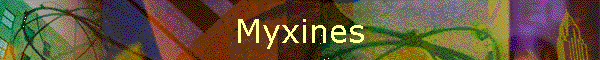 Myxines