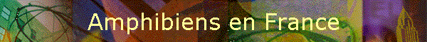 Amphibiens en France