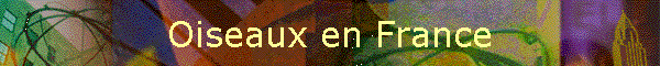 Oiseaux en France