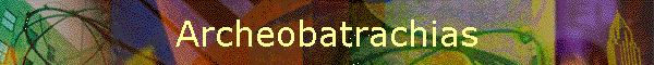 Archeobatrachias