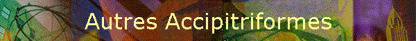 Autres Accipitriformes