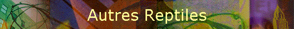 Autres Reptiles