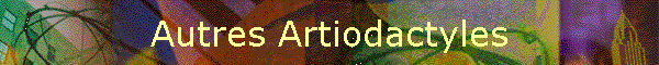 Autres Artiodactyles