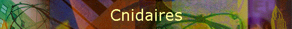 Cnidaires