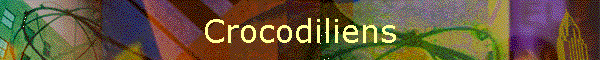 Crocodiliens