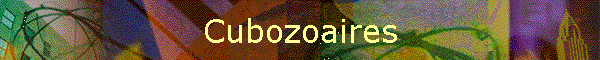 Cubozoaires