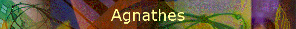Agnathes