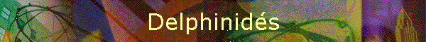 Delphinids