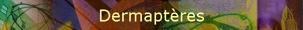 Dermaptres
