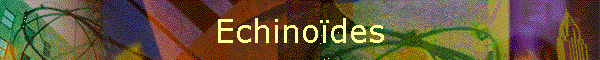 Echinodes