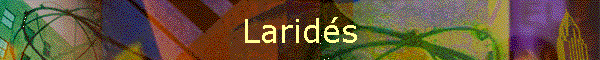 Larids