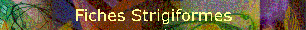 Fiches Strigiformes