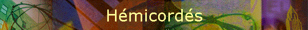 Hmicords