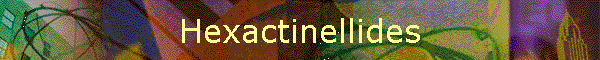 Hexactinellides
