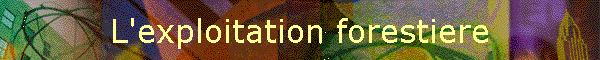 L'exploitation forestiere