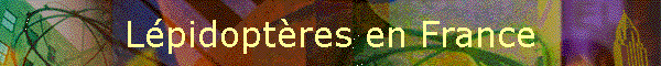 Lpidoptres en France