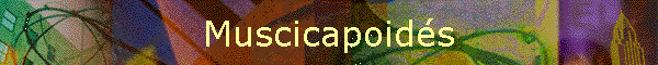 Muscicapoids