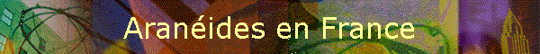 Aranides en France