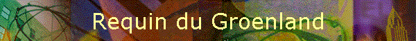 Requin du Groenland