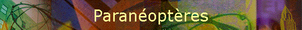 Paranoptres