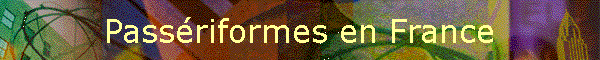 Passriformes en France