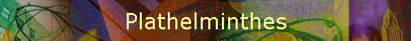 Plathelminthes