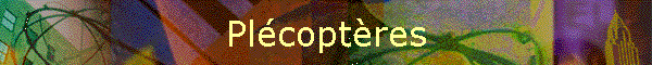 Plcoptres
