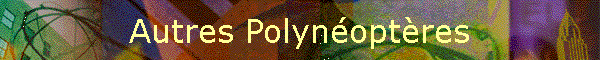 Autres Polynoptres