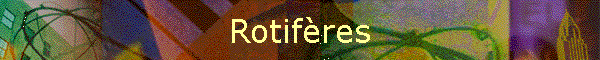 Rotifres