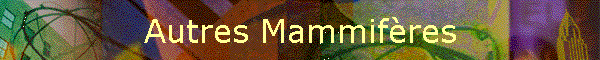 Autres Mammifres