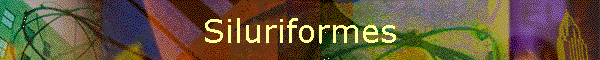 Siluriformes