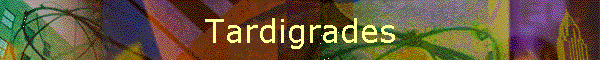 Tardigrades