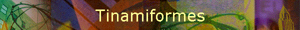 Tinamiformes