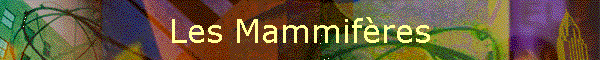 Les Mammifres