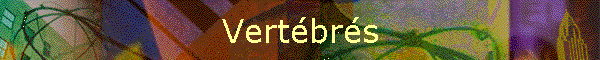 Vertbrs