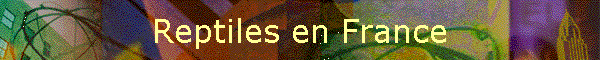 Reptiles en France