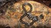 Micrurus psyches | Bio-Scne.org